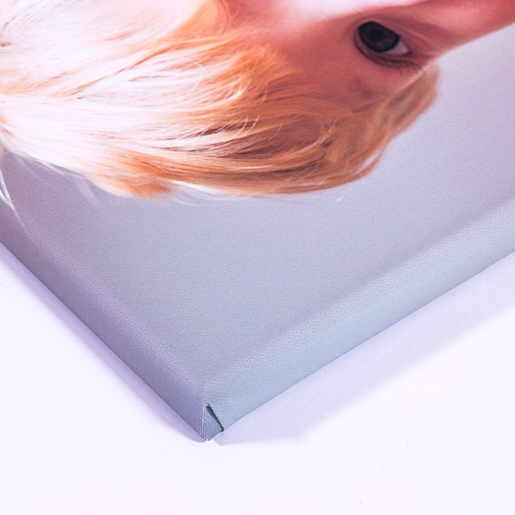 VERTICAL CANVAS